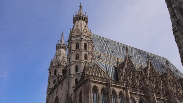 Kathedraal St Stephan in Wenen genaamd Stephansdom in het centrum — Stockvideo