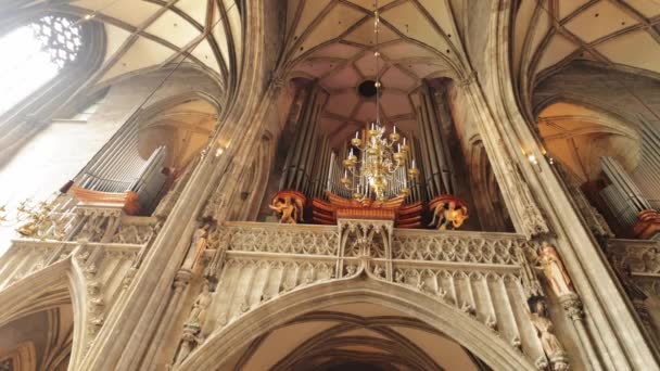 Cathedral St Stephan in Vienna called Stephansdom in the city center - VIENNA, AUSTRIA, EUROPE - AUGUST 1, 2021 — Stock Video