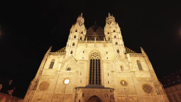 Cathedral St Stephan in Vienna called Stephansdom in the city center - VIENNA, AUSTRIA, EUROPE - AUGUST 1, 2021 — Stock Video