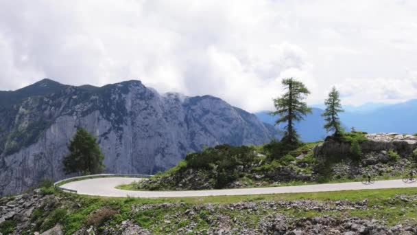 Sapins sur les montagnes des Alpes autrichiennes — Video