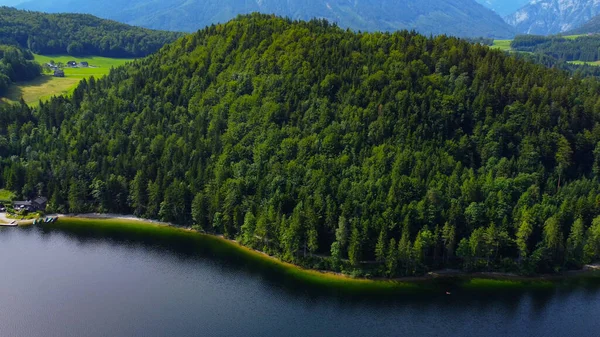 Fir forest in the Austrian Alps - aerial view — Stock Photo, Image