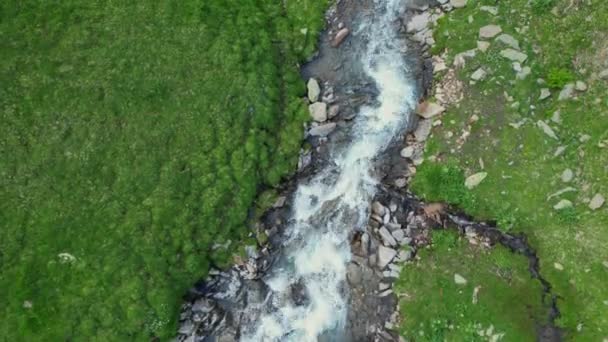 Avusturya 'daki Timmelsjoch yüksek dağlık yolunda şaşırtıcı doğa — Stok video