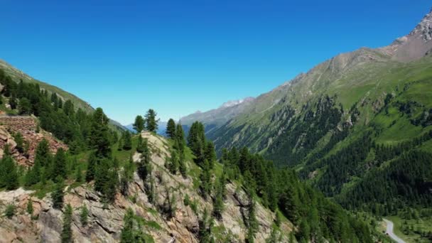 Bella valle del Kaunertal nelle Alpi austriache - famoso ghiacciaio in Austria — Video Stock