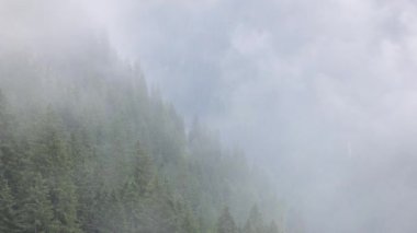 Sisli bir günde Avusturya Alplerinde sis - seyahat fotoğrafçılığı