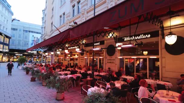 Célèbre Restaurant Dans Vieille Ville Vienne Chameau Noir Vienne Autriche — Video