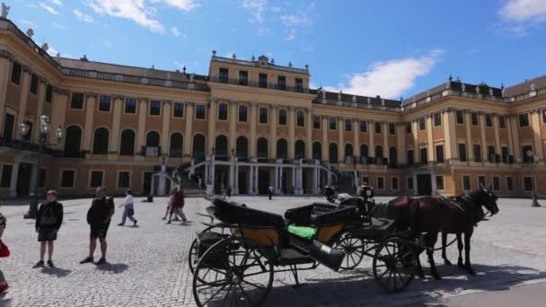 Pferdekutsche Der Stadt Wien Wien Österreich August 2021 — Stockvideo