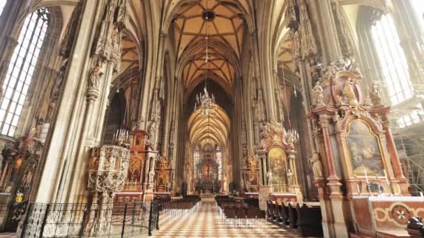 Kathedraal Stephan Wenen Genaamd Stephansdom Het Centrum Van Stad Vienna — Stockvideo