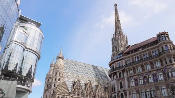 Cathedral Stephan Vienna Called Stephansdom City Center Vienna Austria August — Stock Video