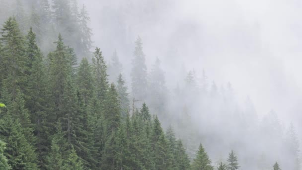 Een Regenachtige Dag Oostenrijkse Alpen Met Diepe Wolken Mist Reisfotografie — Stockvideo