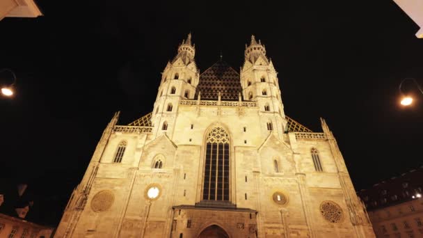 Catedral San Esteban Viena Llamada Stephansdom Centro Ciudad Viena Austria — Vídeos de Stock