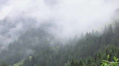 Sisli bir günde Avusturya Alplerinde sis - seyahat fotoğrafçılığı