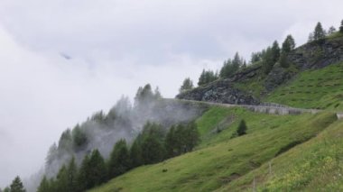 Avusturya 'daki Grossglockner High Alpine Yolu çevresindeki muhteşem manzara - seyahat fotoğrafçılığı