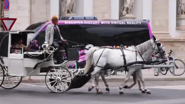 Pferdekutsche Der Stadt Wien Wien Österreich August 2021 — Stockvideo