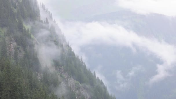 Diepe Wolken Boven Dennenbomen Oostenrijkse Alpen Vorarlberg Reizen — Stockvideo