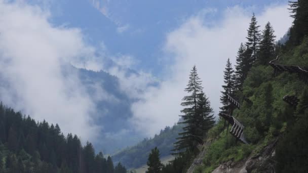오스트리아 오스트리아 알프스 이로운 전형적 풍경의 — 비디오