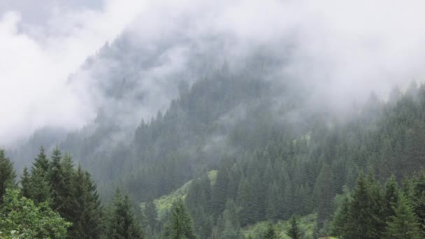 Diepe Wolken Boven Dennenbomen Oostenrijkse Alpen Vorarlberg Reizen — Stockvideo