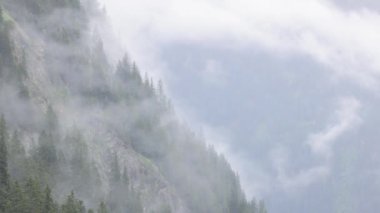 Sisli bir günde Avusturya Alplerinde sis - seyahat fotoğrafçılığı