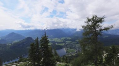 Avusturya Alpleri 'nin dağlarındaki firavun ağaçları - seyahat fotoğrafçılığı