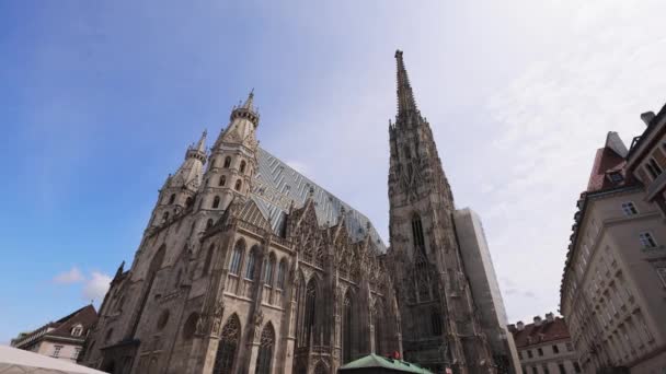 Viyana Daki Stephan Katedrali Şehir Merkezindeki Stephansdom Adlı Seyahat Fotoğrafçılığı — Stok video