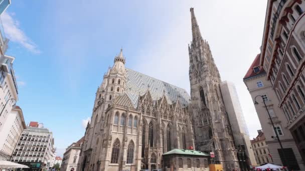 Viyana Daki Stephan Katedrali Şehir Merkezindeki Stephansdom Adlı Seyahat Fotoğrafçılığı — Stok video