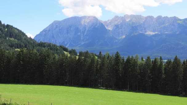 Abeto Nas Montanhas Dos Alpes Austríacos Viajar Fotografias — Vídeo de Stock