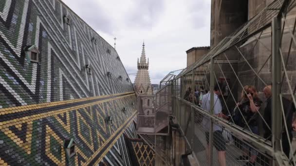 Viyana Daki Stephan Katedrali Nin Çatısına Şehir Merkezindeki Stephansdom Adı — Stok video