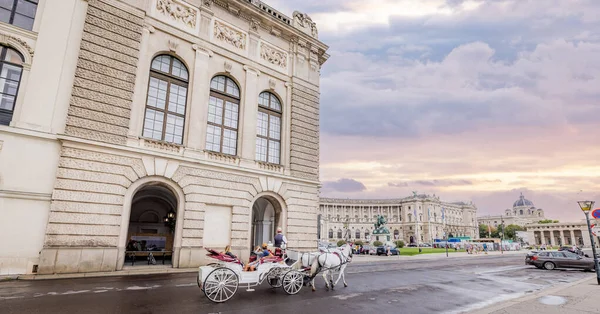 Die Wiener Hofburg Berühmtestes Wahrzeichen Der Stadt Wien Österreich August — Stockfoto