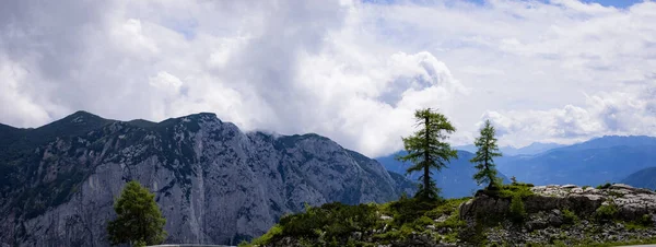 Typisk Panoramautsikt Österrikiska Alperna Med Berg Och Granar Mount Loser — Stockfoto