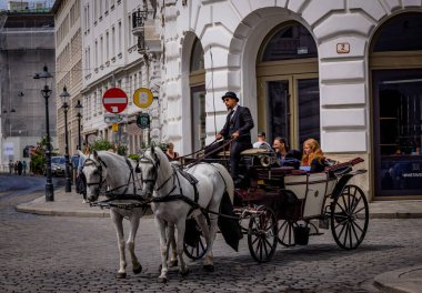 Viyana 'daki At Çekim Taksisi - Viyana, AVUSTRIA - 1 Ağustos 2021