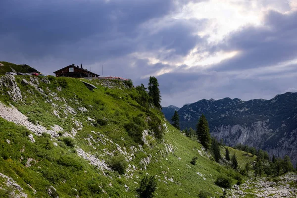 Typisk Panoramautsikt Österrikiska Alperna Med Berg Och Granar Mount Loser — Stockfoto