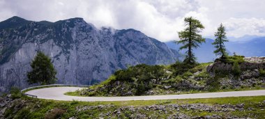Avusturya Alplerinde tipik panoramik manzara dağlar ve köknar ağaçları - Kaybeden Altaussee Dağı - seyahat fotoğrafçılığı