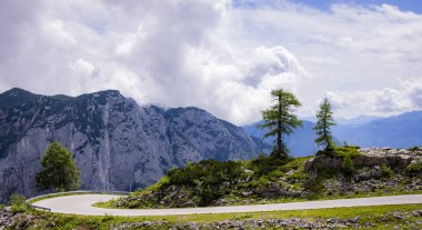 Avusturya Alplerinde tipik panoramik manzara dağlar ve köknar ağaçları - Kaybeden Altaussee Dağı - seyahat fotoğrafçılığı