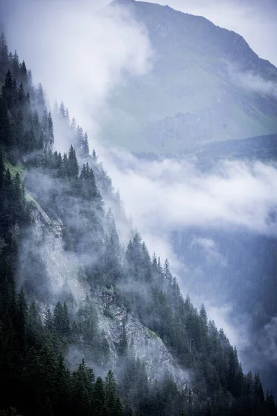 Nubes Profundas Sobre Los Abetos Los Alpes Austríacos Región Vorarlberg —  Fotos de Stock