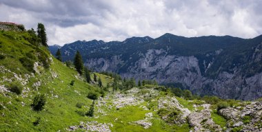 Avusturya Alplerinde tipik panoramik manzara dağlar ve köknar ağaçları - Kaybeden Altaussee Dağı - seyahat fotoğrafçılığı