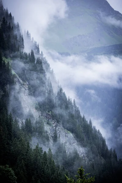 Nuvole Profonde Sugli Abeti Delle Alpi Austriache Vorarlberg Fotografia Viaggio — Foto Stock