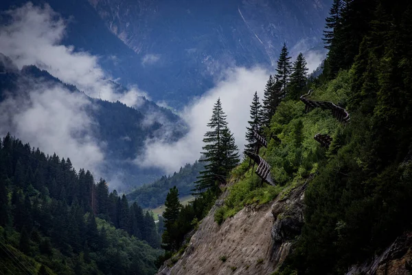 Nuvole Profonde Sugli Abeti Delle Alpi Austriache Vorarlberg Fotografia Viaggio — Foto Stock