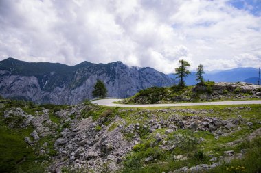 Avusturya Alplerinde tipik panoramik manzara dağlar ve köknar ağaçları - Kaybeden Altaussee Dağı - seyahat fotoğrafçılığı