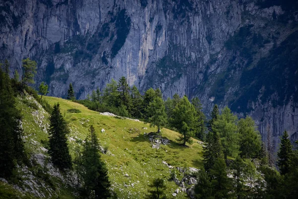 Typischer Panoramablick Den Österreichischen Alpen Mit Bergen Und Tannen Loser — Stockfoto