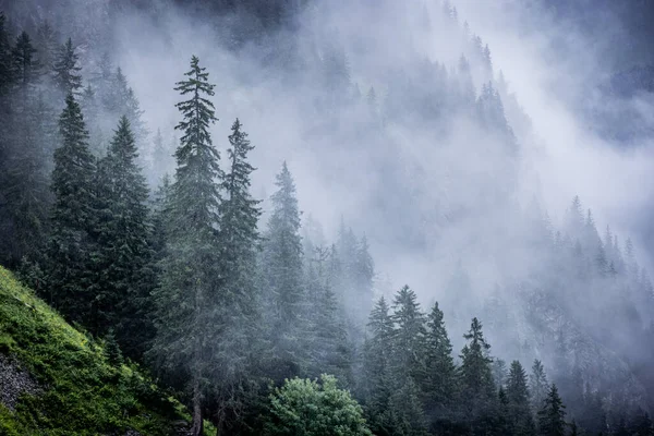 Nevoeiro Nos Alpes Austríacos Dia Nebuloso Fotografia Viagem — Fotografia de Stock