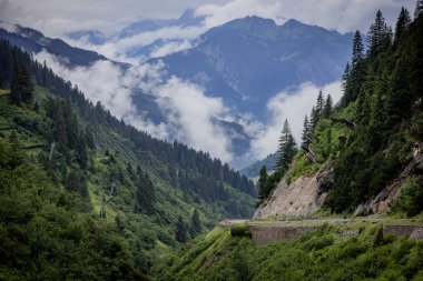 Avusturya Alpleri 'ndeki köknar ağaçlarının üzerinde derin bulutlar - Vorarlberg bölgesi - seyahat fotoğrafçılığı