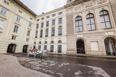 Viyana Hofburg Sarayı - şehrin en ünlü simgesi - Viyana, AVUSTRIA - 1 AĞUSTOS, 2021