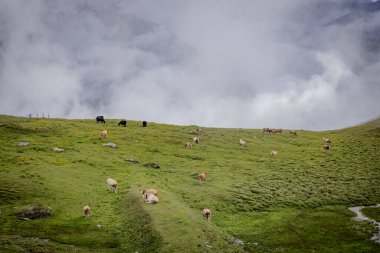 Avusturya 'daki Grossglockner Yüksek Alp Yolu - seyahat fotoğrafçılığı