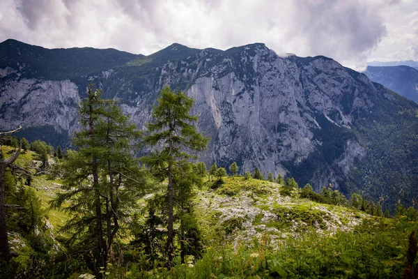 Fantastisk Natur Och Typiskt Landskap Österrike Österrikiska Alperna Fotografi — Stockfoto