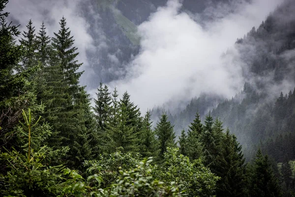 Djupa Moln Över Granarna Österrikiska Alperna Vorarlberg Regionen Fotografi — Stockfoto