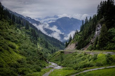 Avusturya Alpleri 'ndeki köknar ağaçlarının üzerinde derin bulutlar - Vorarlberg bölgesi - seyahat fotoğrafçılığı