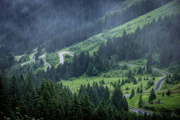 Avusturya Alpleri Ndeki Köknar Ağaçlarının Üzerinde Derin Bulutlar Vorarlberg Bölgesi — Stok fotoğraf