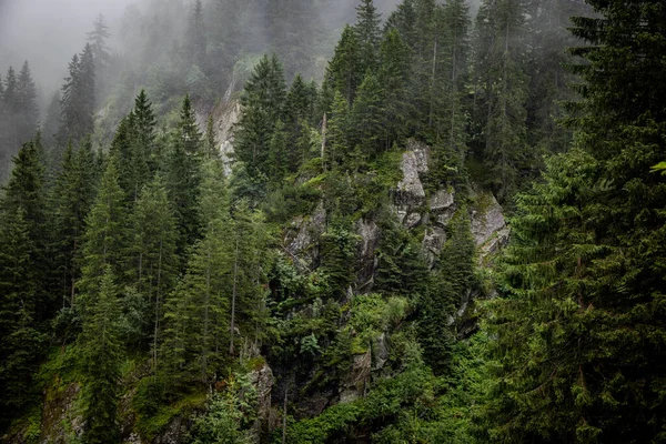 Djupa Moln Över Granarna Österrikiska Alperna Vorarlberg Regionen Fotografi — Stockfoto