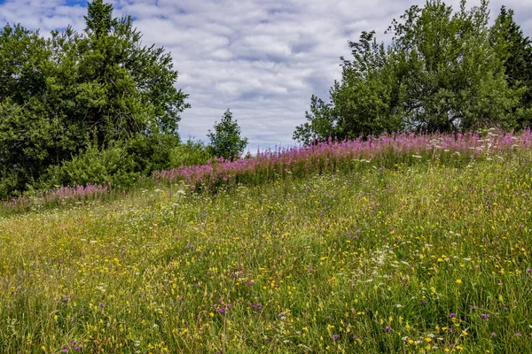 Hermosos Prados Las Montañas Austria Viajes Fotografía —  Fotos de Stock