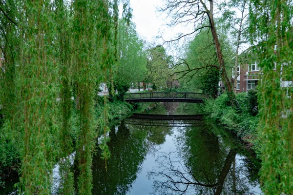 Schöner Park Buxtehude Buxtehude Deutschland Mai 2021 — Stockfoto