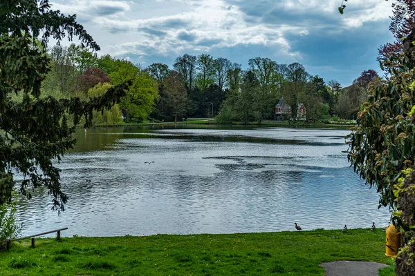 Teich Mühlenteich Der Stadt Lübeck Deutschland Lubeck Deutschland Mai 2021 — Stockfoto